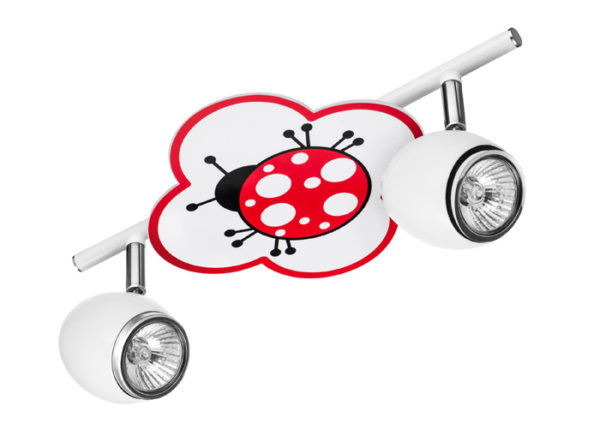 Fly